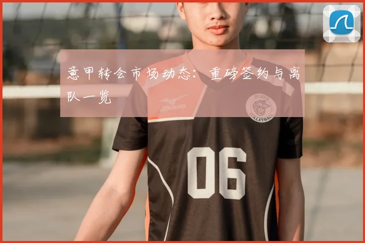 意甲转会市场动态：重磅签约与离队一览